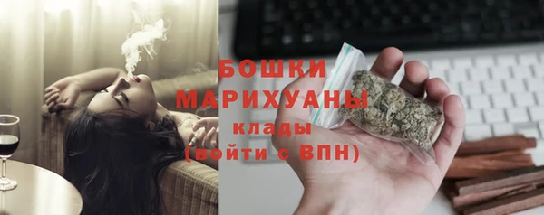 крисы Осинники