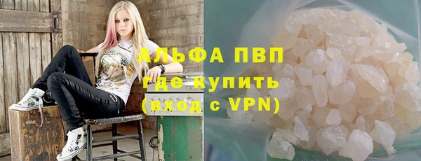 крисы Осинники