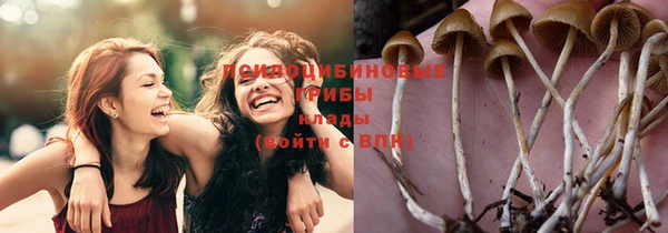 крисы Осинники